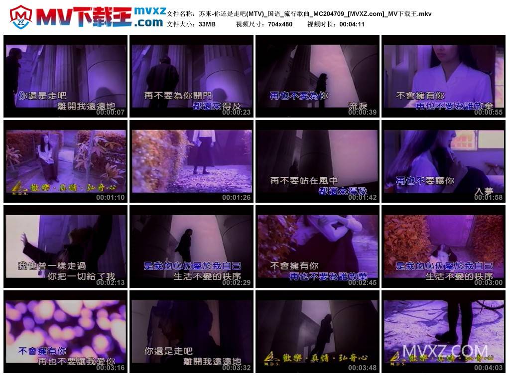 苏来-你还是走吧(MTV)_国语_流行歌曲_MC204709